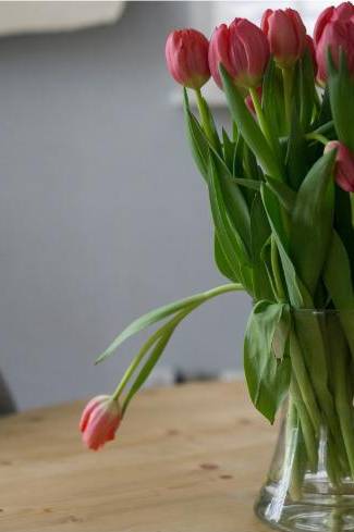 Werkstatt und Blumen