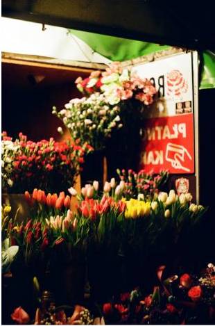 Blumenbogen