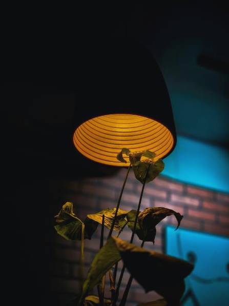 Eventfoto 2