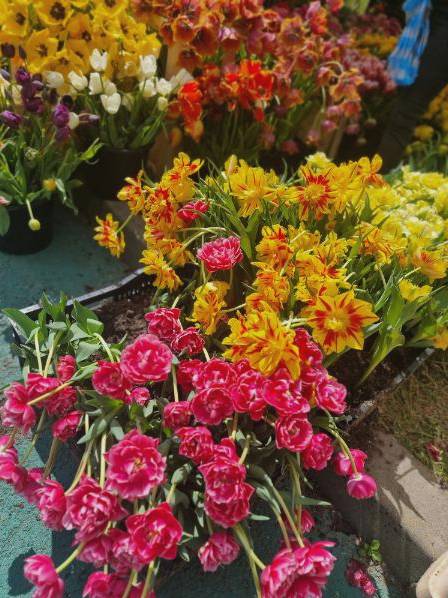 Event Blumenarrangement Nord