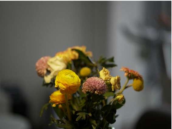 Galery 3